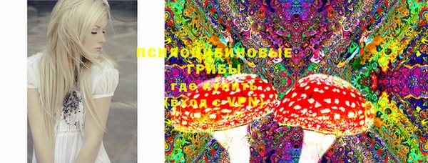 мдпв Белокуриха