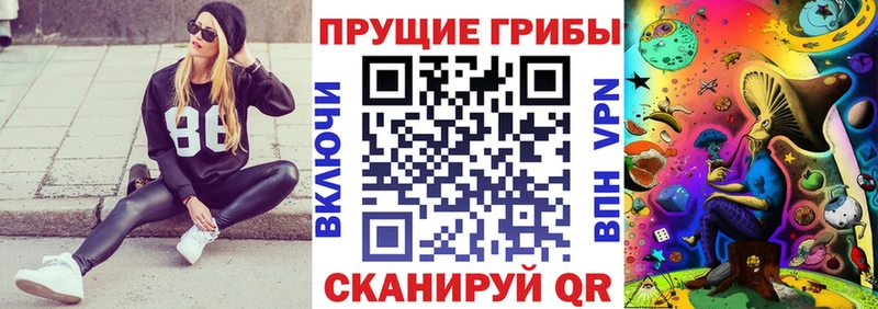 Галлюциногенные грибы Psilocybe  закладка  kraken вход  Маркс 